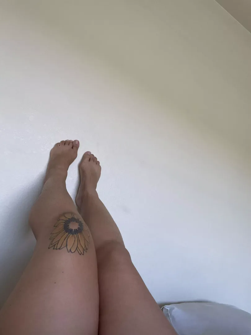 Little piggy’s