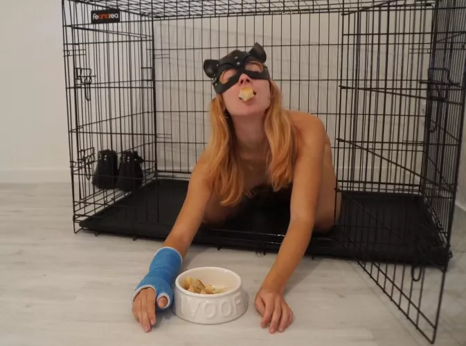 Little slave pet trying to eat her breakfast