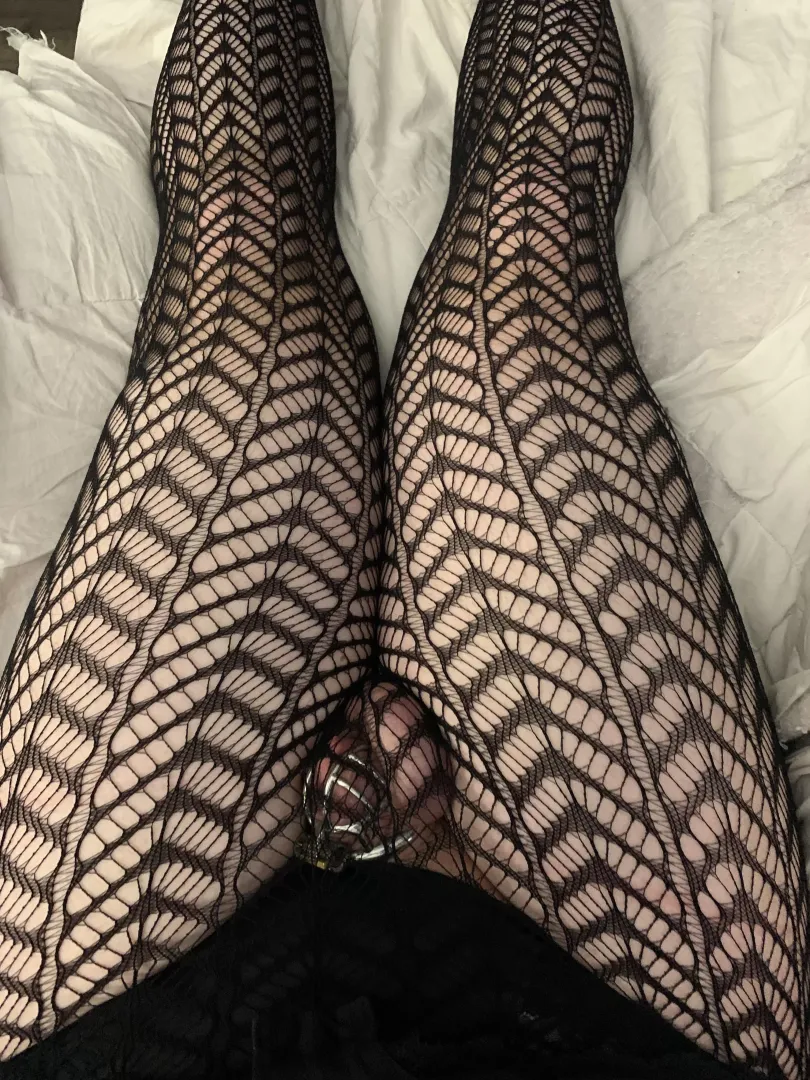 Locked and laced