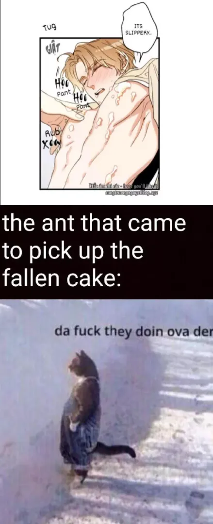 Lol the bonus memes at the bottom of the page on mangabuddy