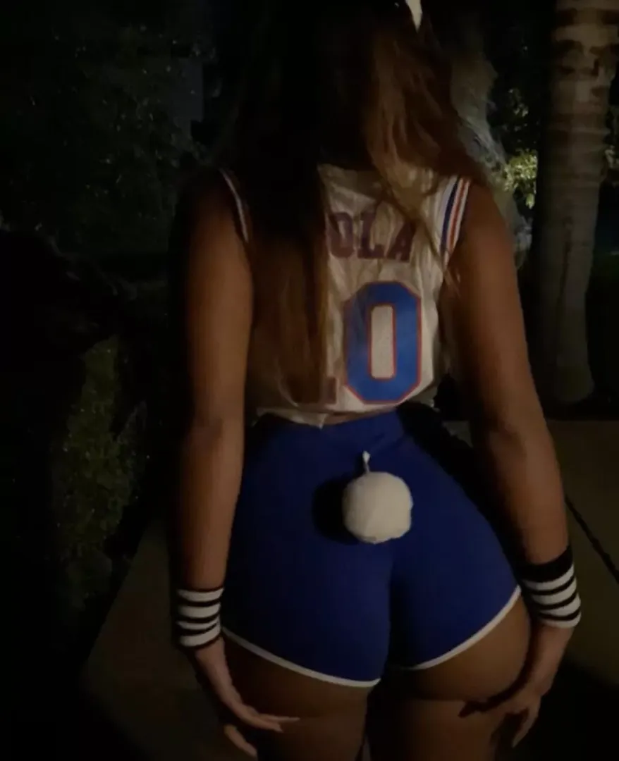 lola bunny