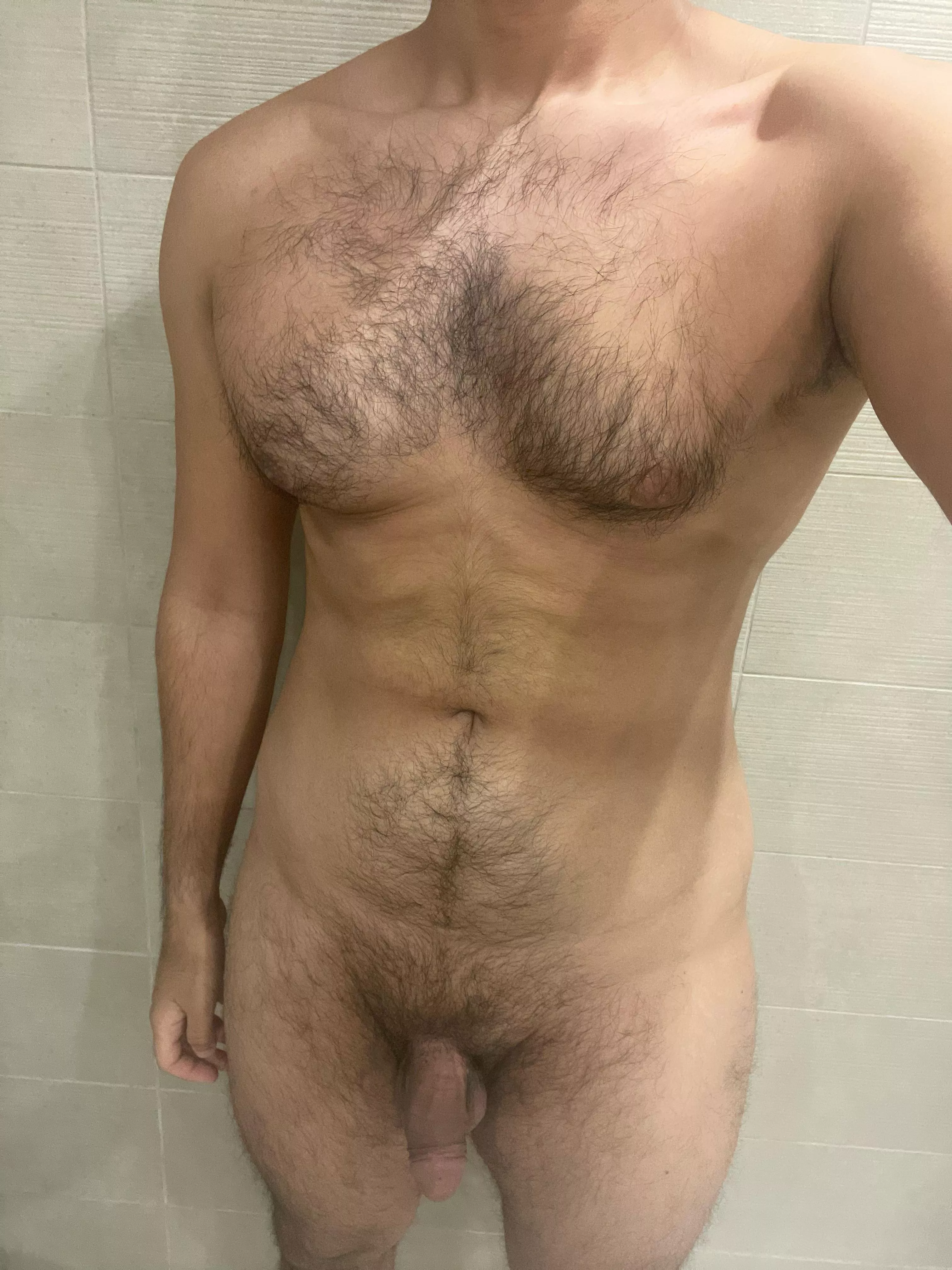 Lonely Arabian cock