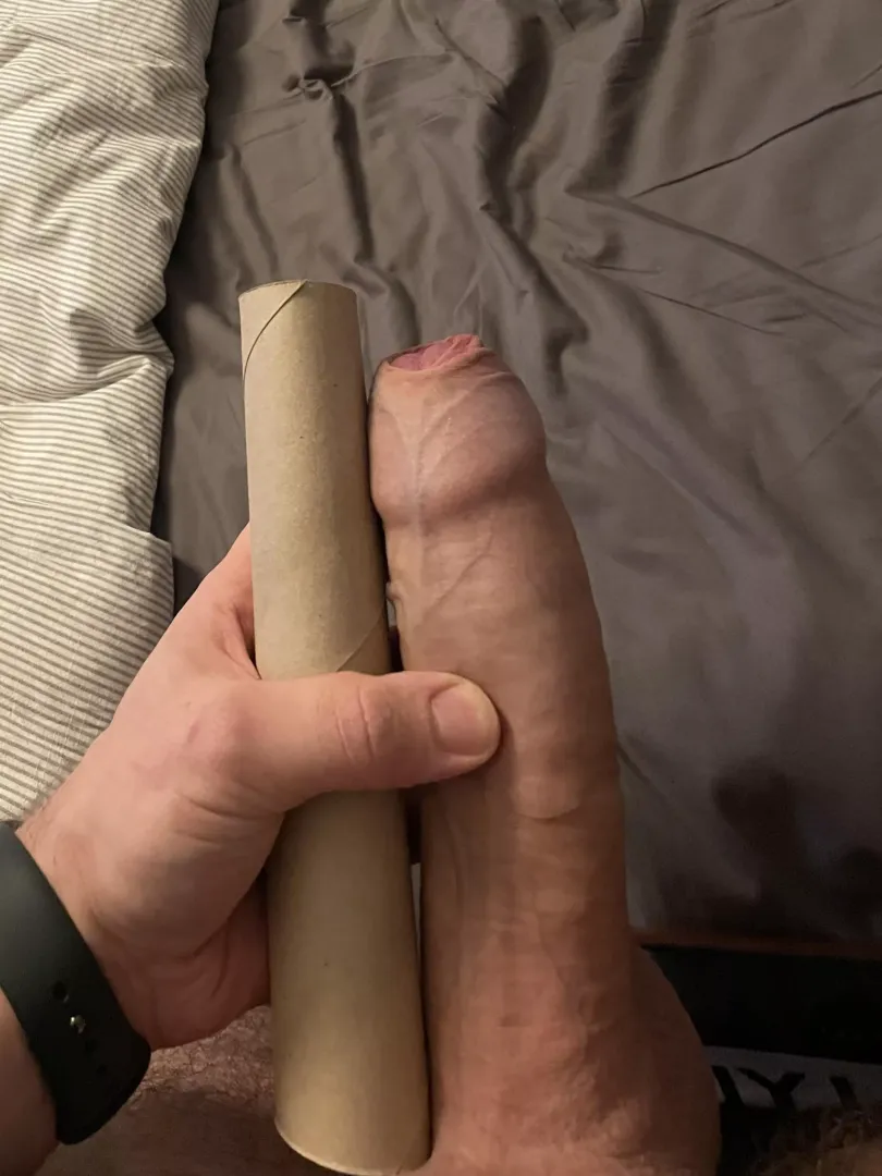 Long household roll