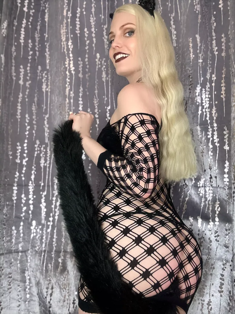Long pretty tail 