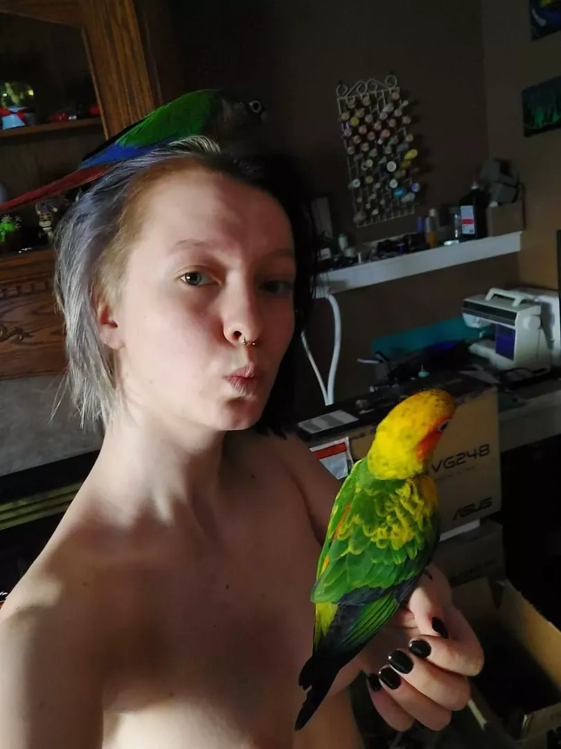 look 3 birds