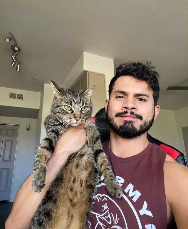 Look at this beauty 🐱