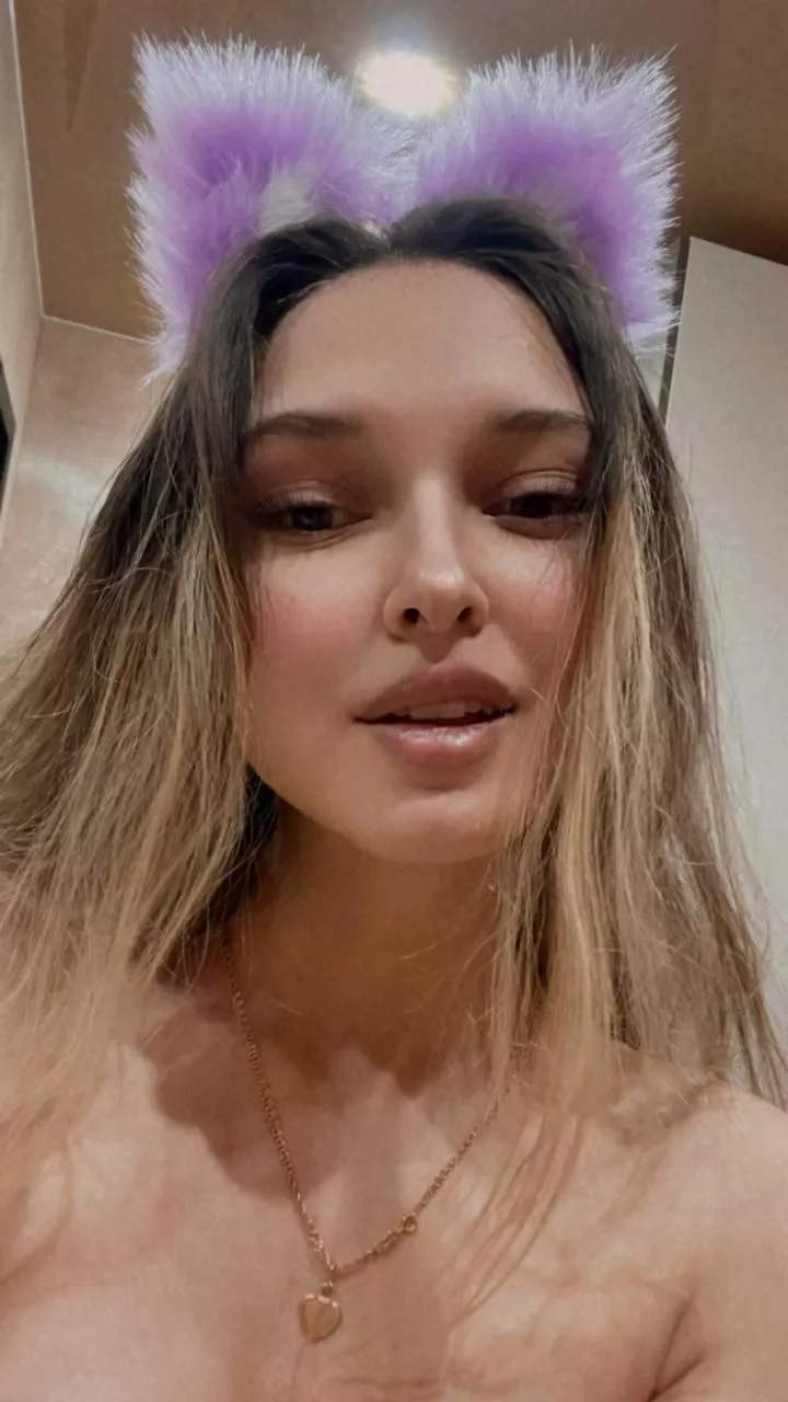 Look at this cute little kitty