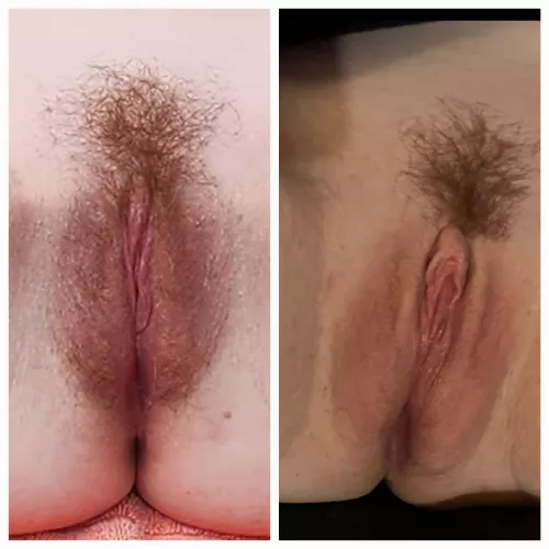 Look what her bull's cock has done... A year ago vs now... Her canal is completely stretched open. Now she fucks him every night and I am locked up, hours away tugging on my little nothing. The pain is exquisite and humiliating. 