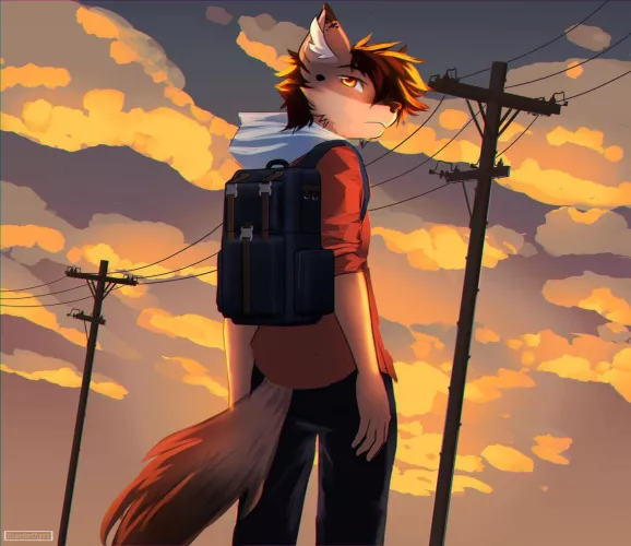 Looking back 🌇