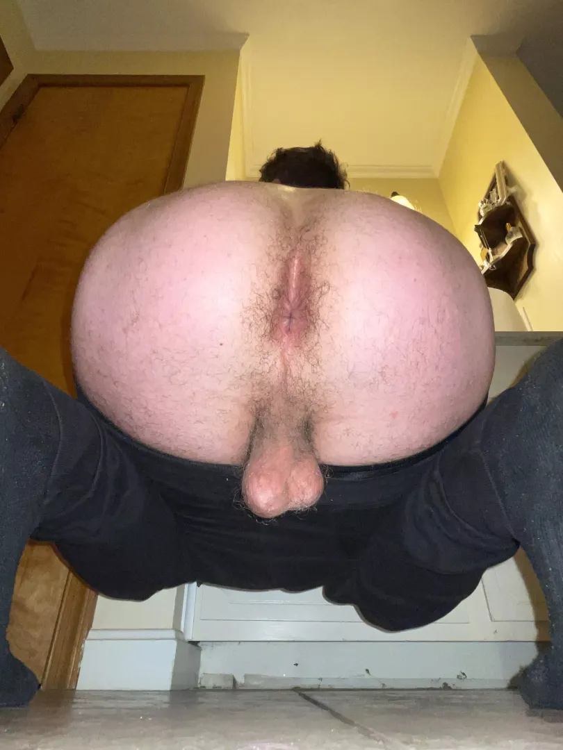 Looking for a tongue and a tug