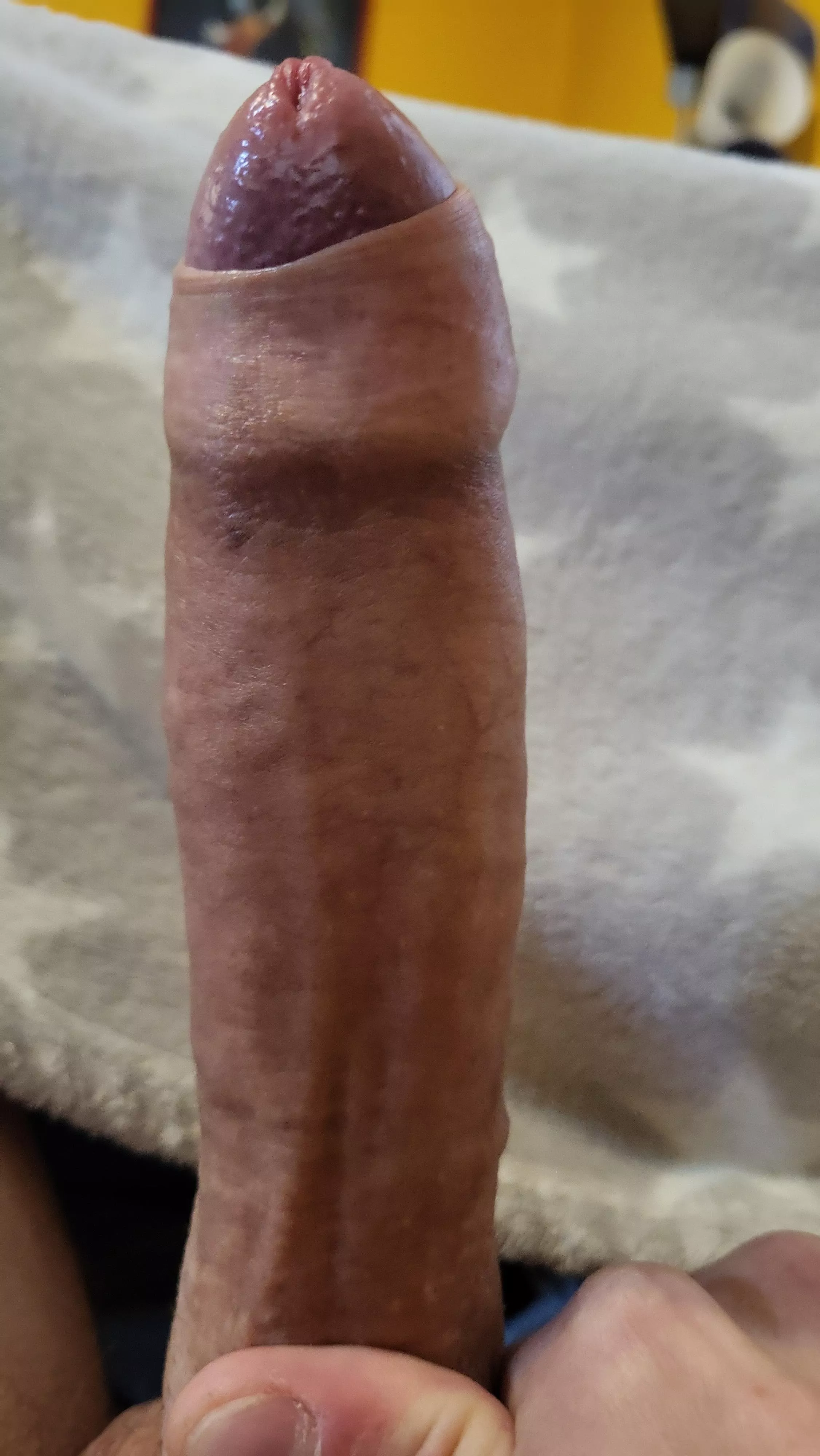 Looking for some fun 