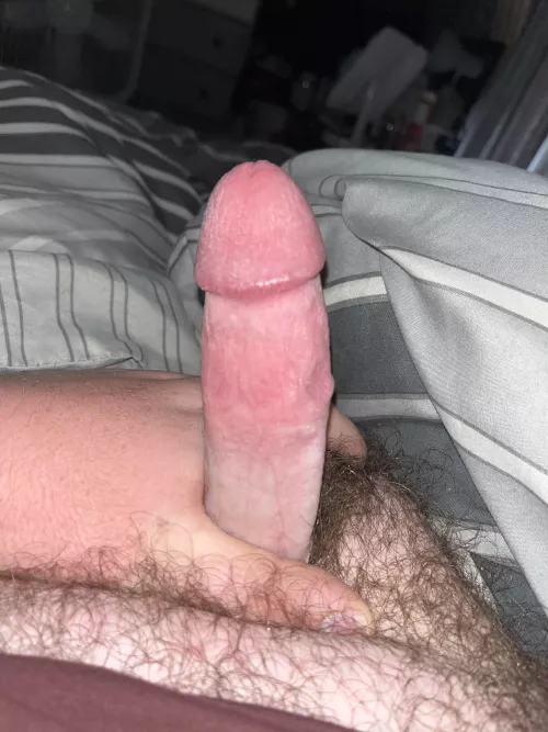 Looking to chat