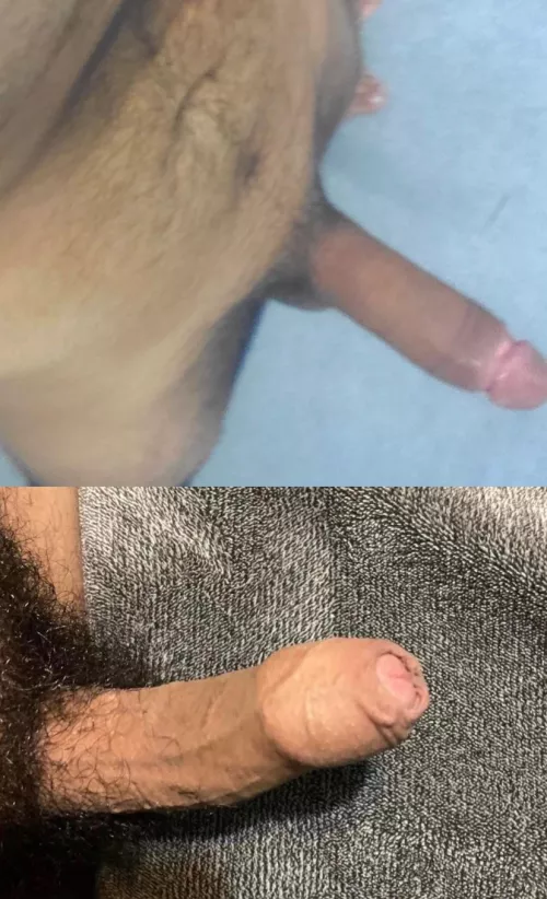 lost bet to u/New-Bumblebee-3044 on top and mine on bottom