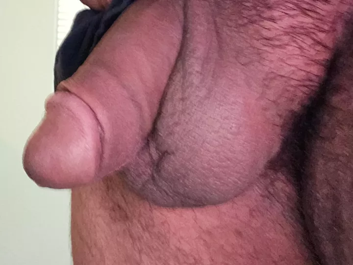 Love me a Circumcised chub