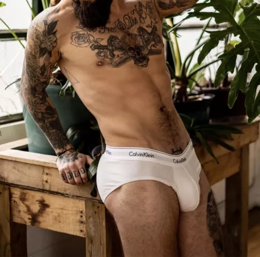 love my calvins