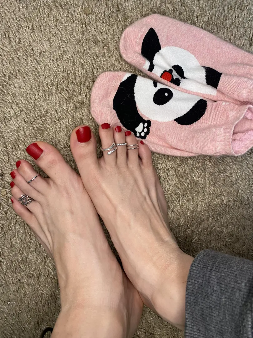 love these new rings and socks 🥰