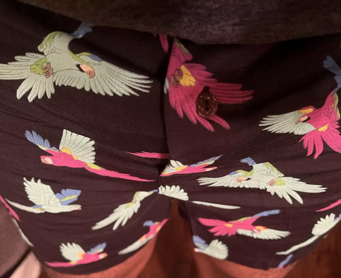 Love these Parrots!