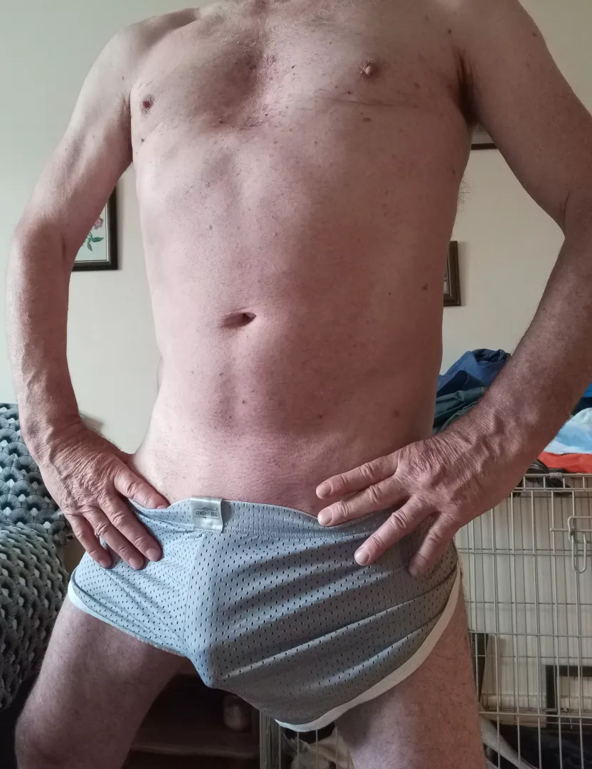 Love these shorts