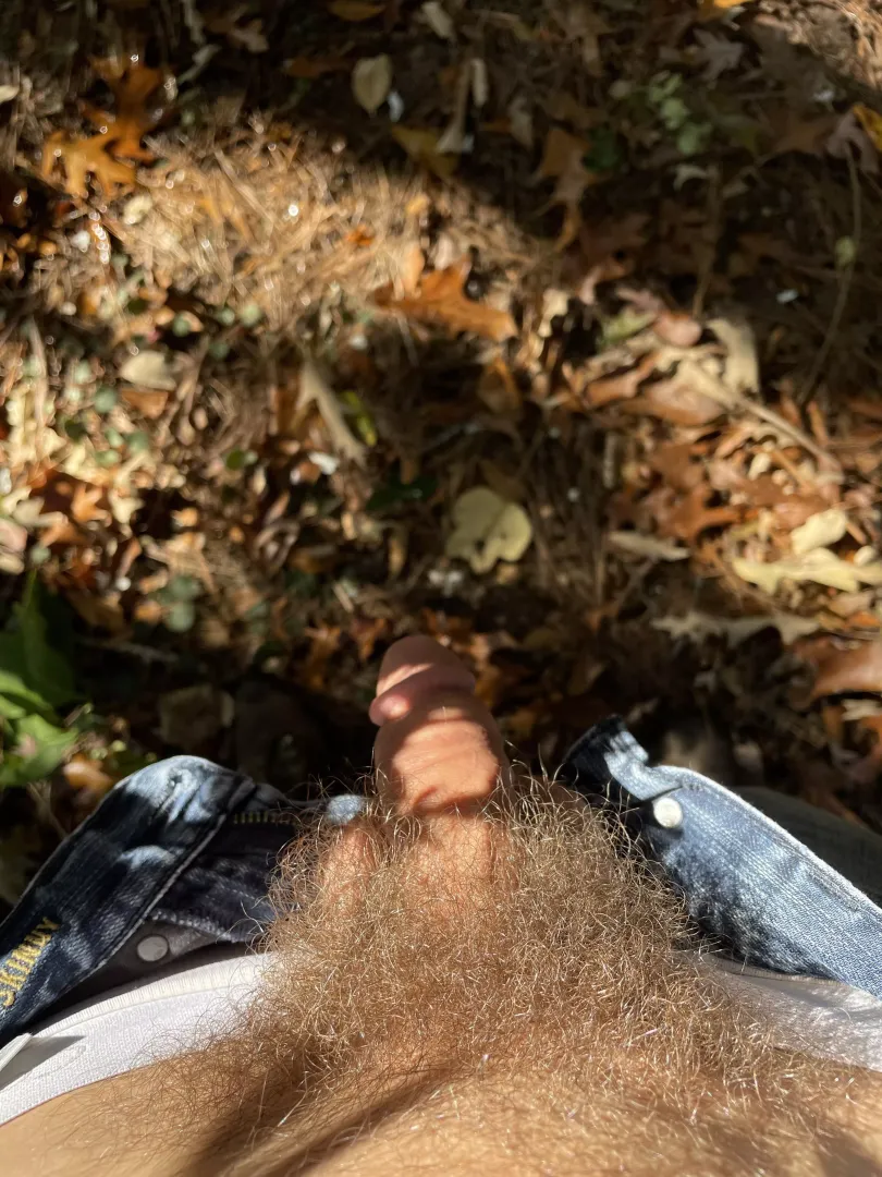 Love this bush