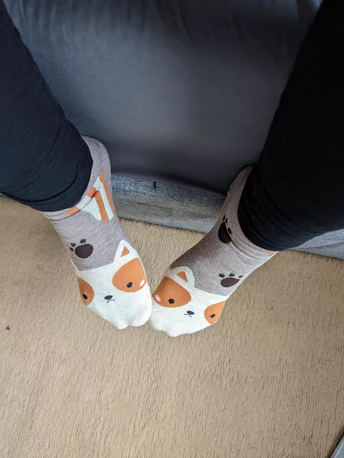 Loving these kind of cute socks lately (f)