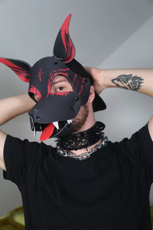 Lux got a new and different kind of Hood! Watch out for his teeth, he may bite!