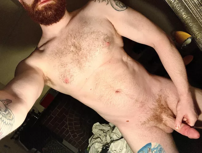 (M) I find it extremely satisfying how symmetrically my bush is growing out!