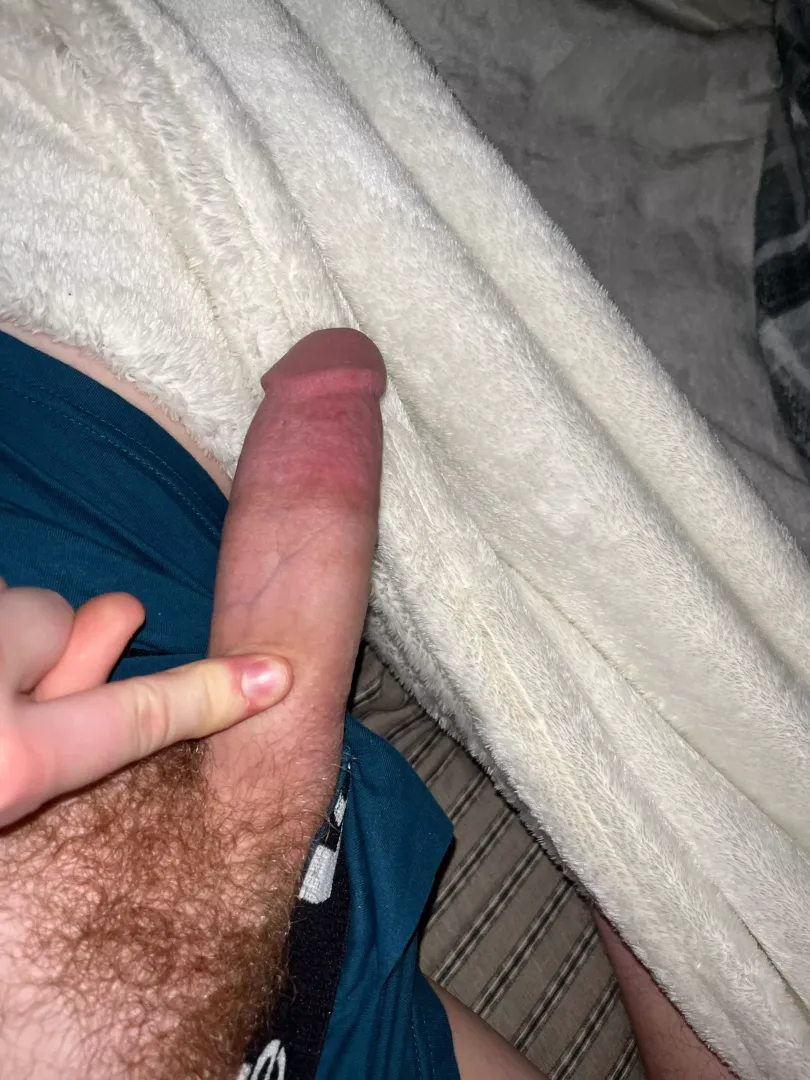 M18 looking for muscle to breed me hmu