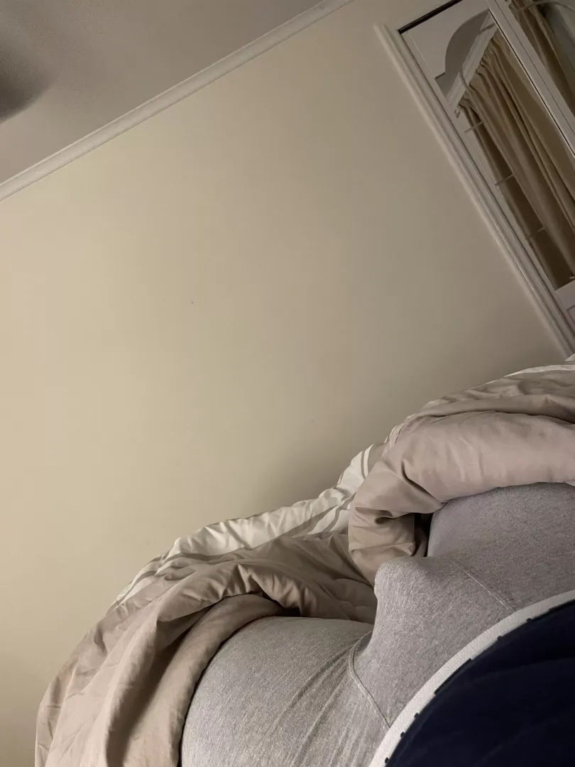 M19