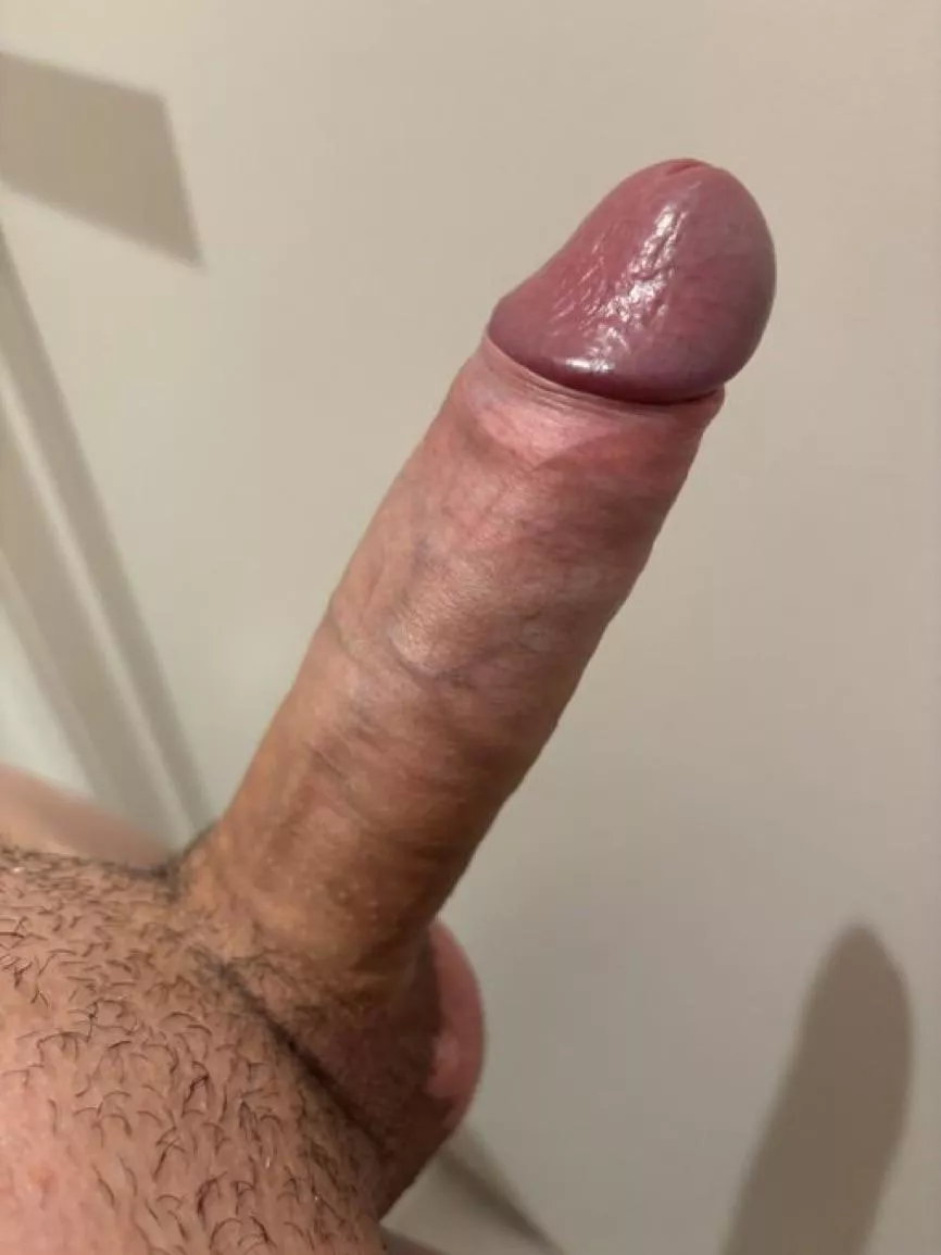 M28