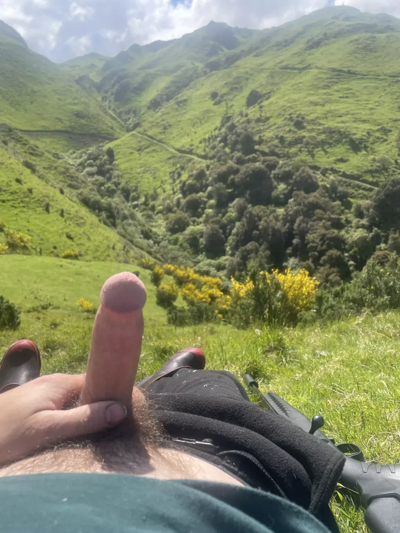 M29 farmer play