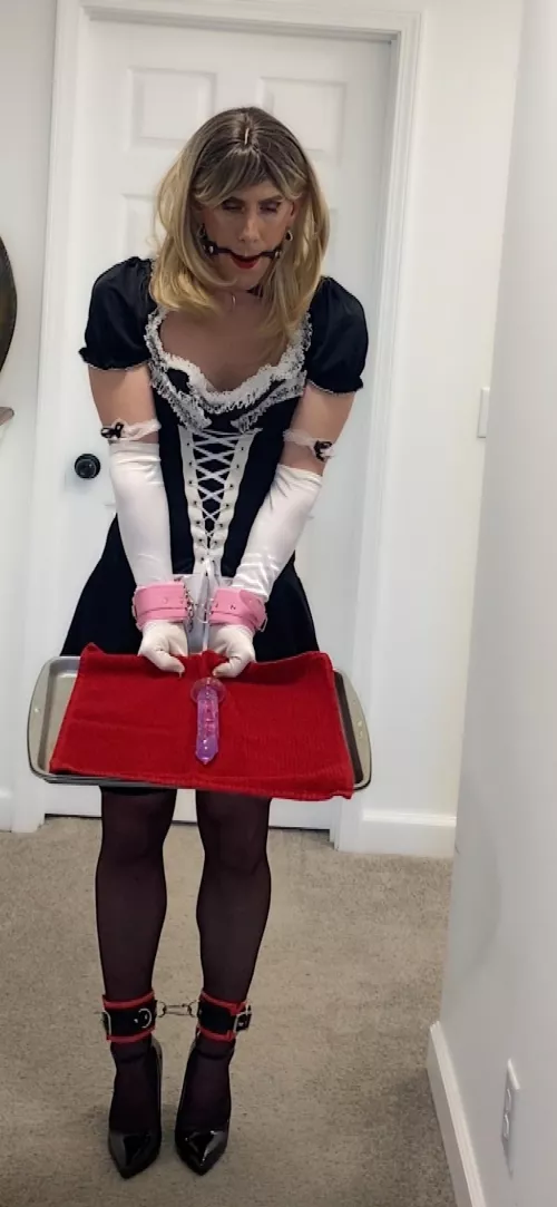 Maid to Serve By Being Cuffed, Collared & Gagged