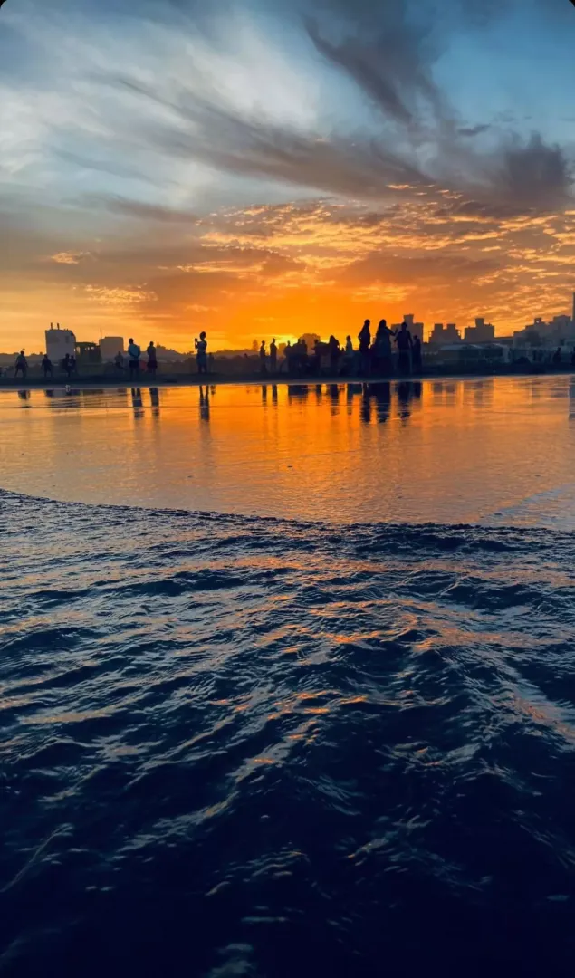 Majestic 😍🤯