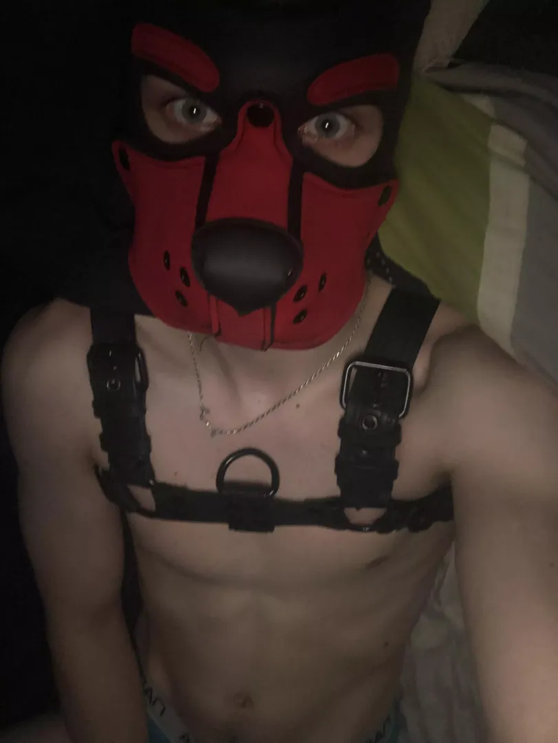 Make me submit to you 🐾