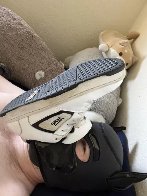 Make pup sniff