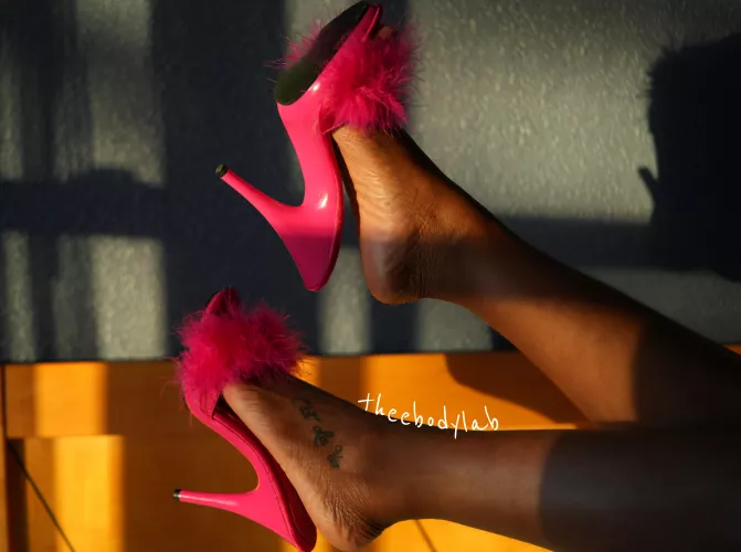 May I wrap my legs around your neck? [F]