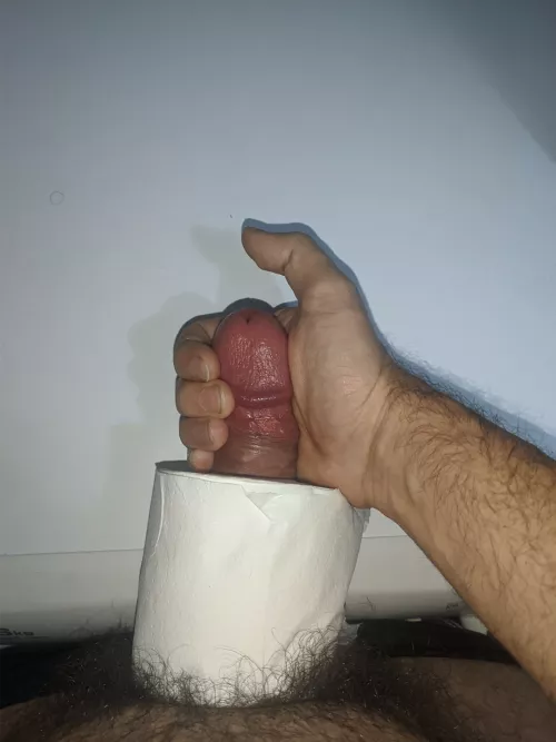 ME Vs Toilet paper roll... not 100% hard cause it won't fit 😂