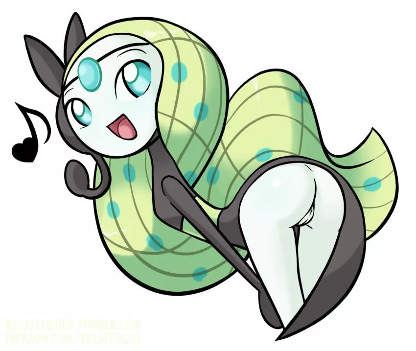 Meloettas begging you to stick it in