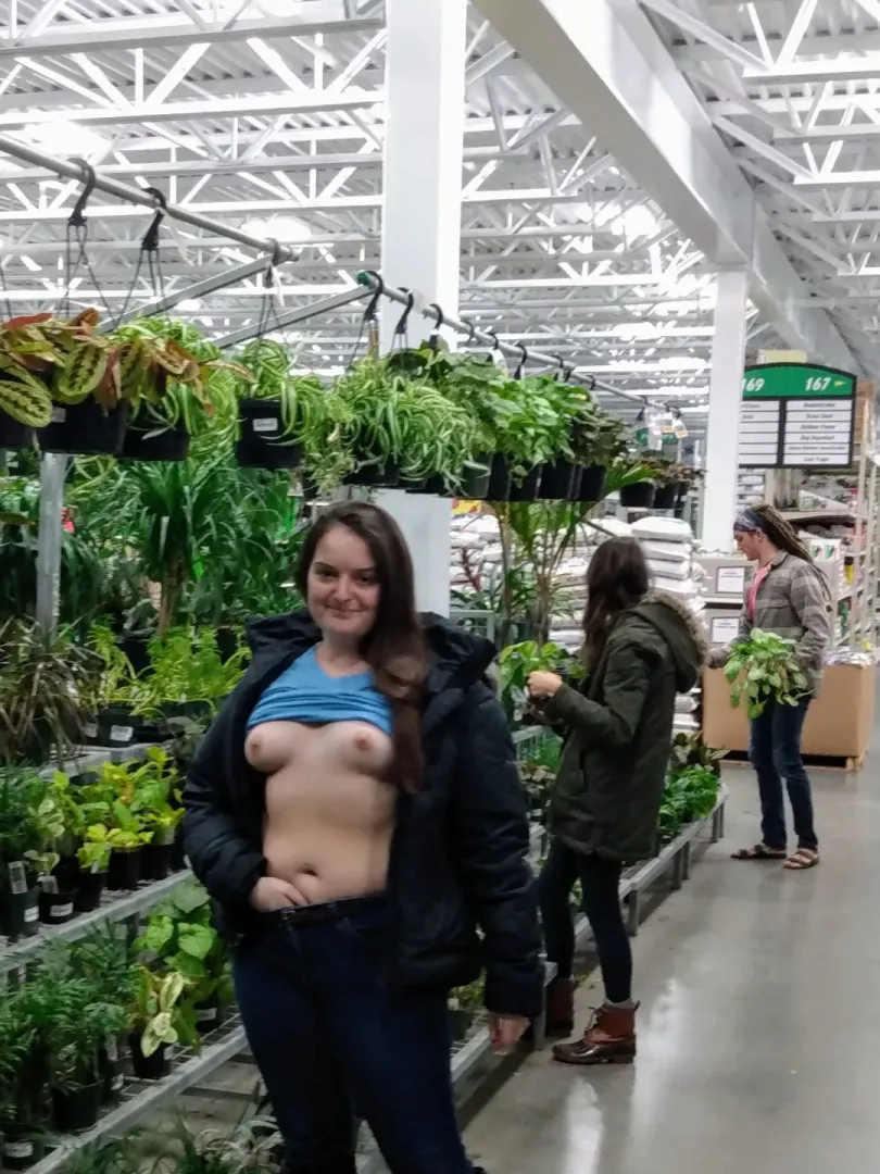 Menards