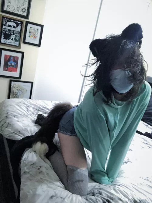 Meow? :3