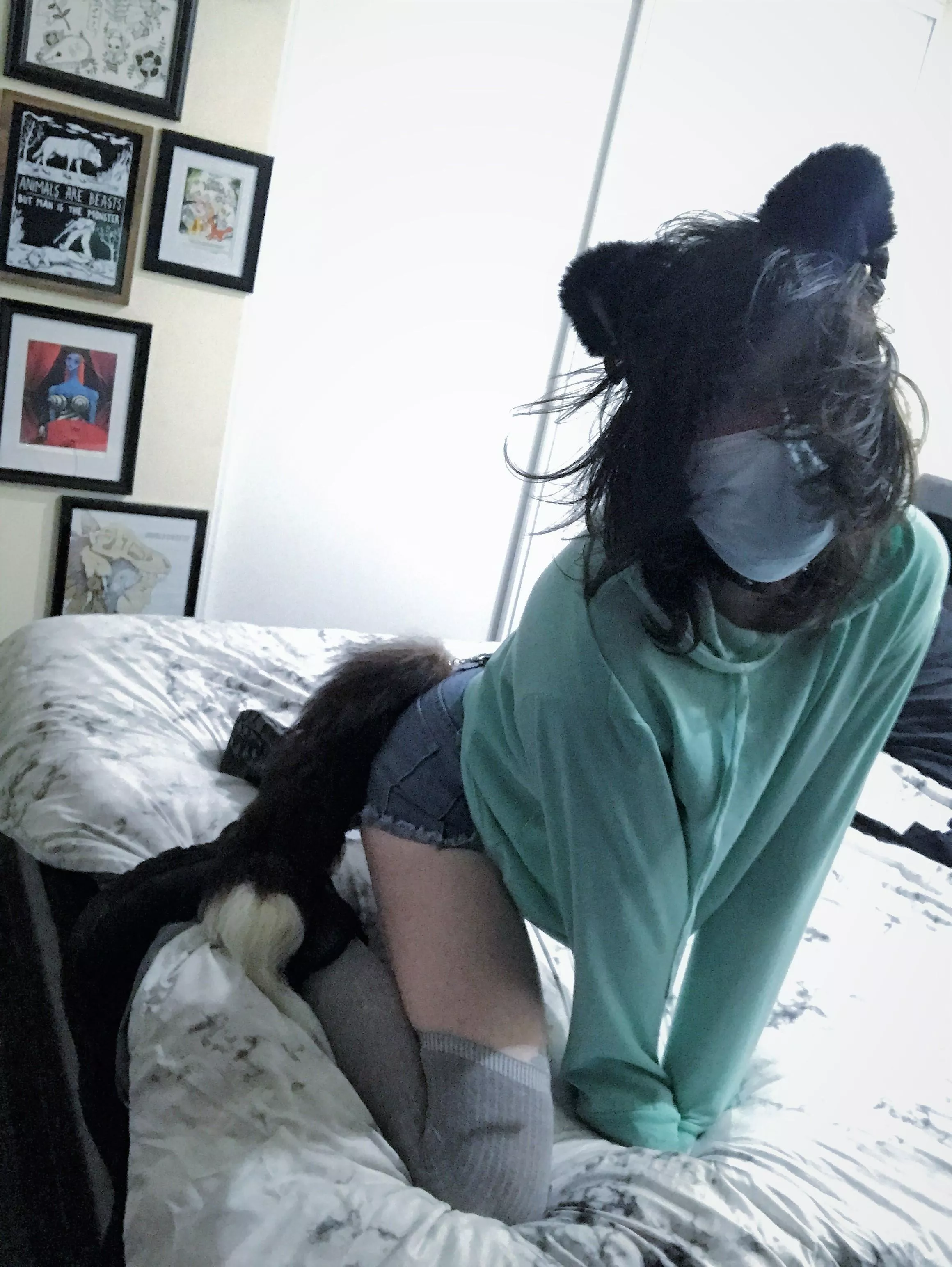 Meow? :3