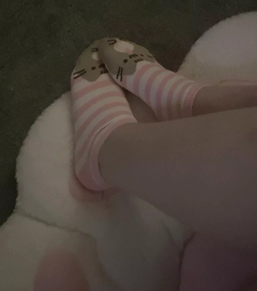 meow :3