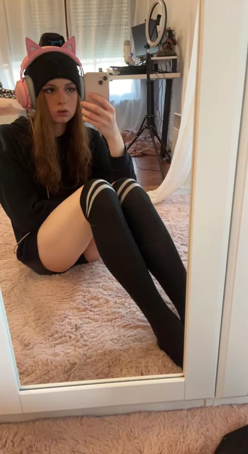 meow 😽