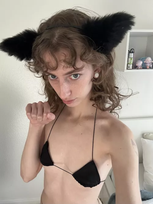 meow