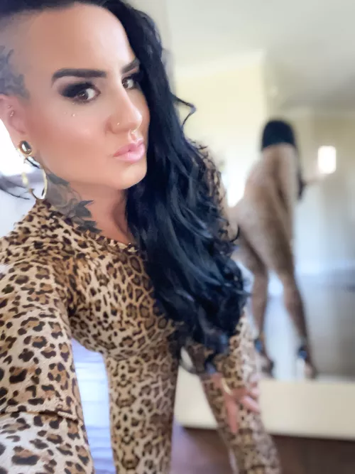 Meow!