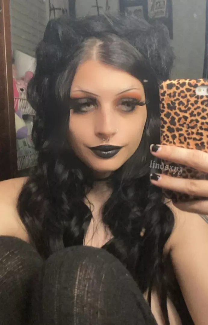 meow dx