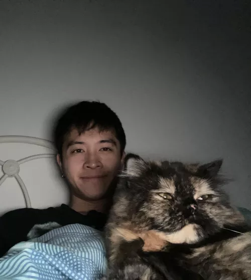 meow 😸