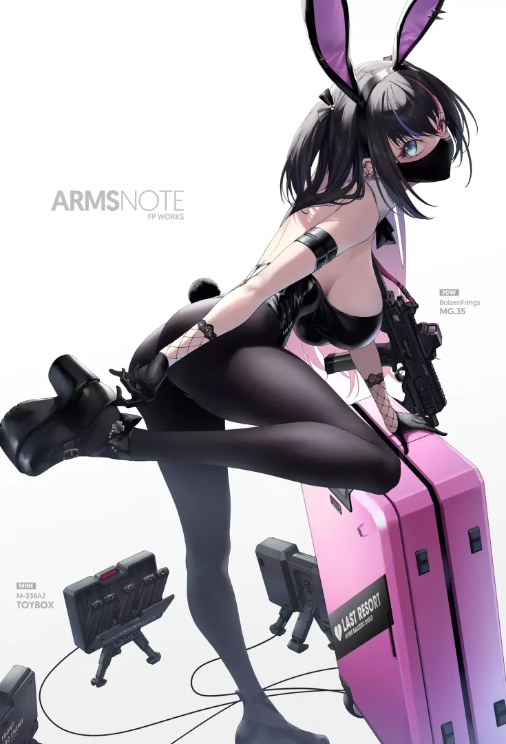 Mercenary Bunny