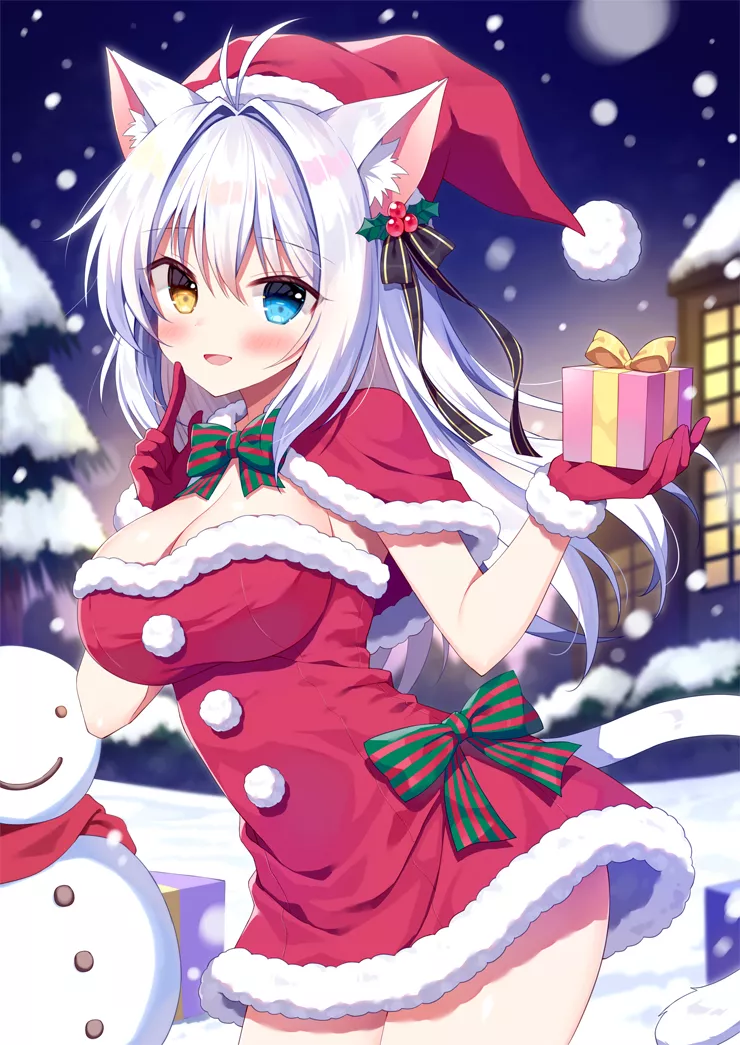 Merry Christmas from Aina