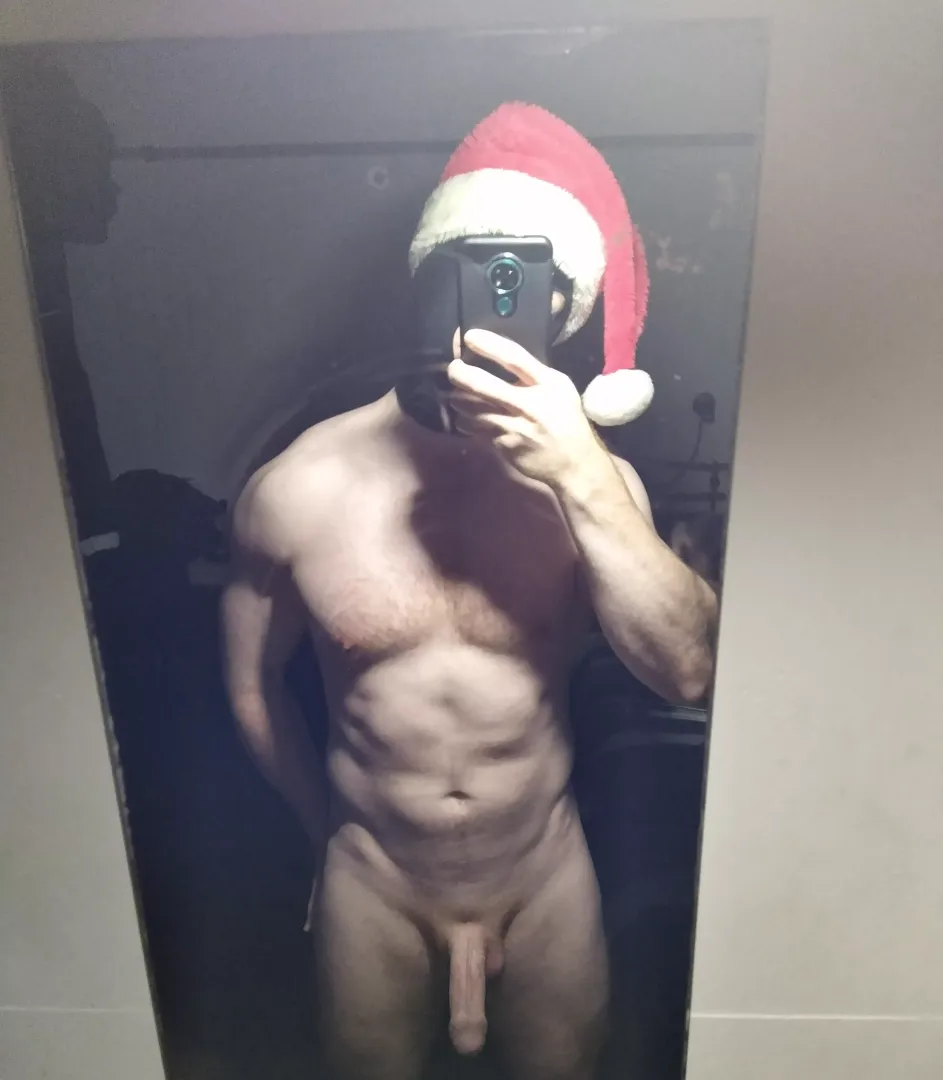 Merry dickmas