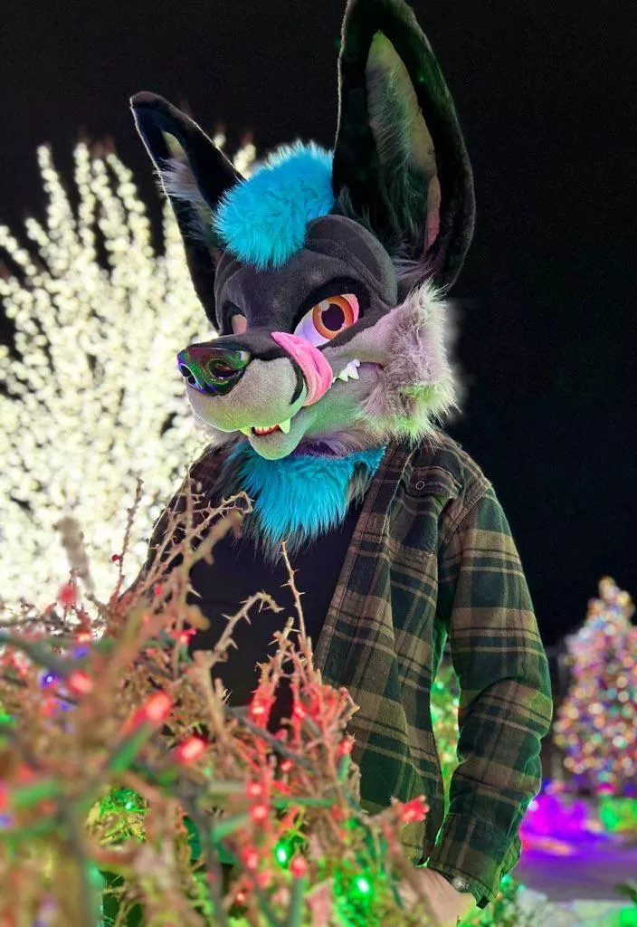 Merry Foxmas!